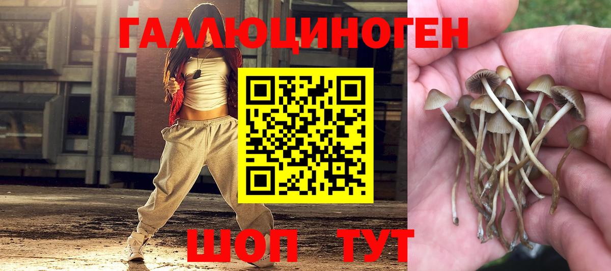 Галлюциногенные грибы MAGIC MUSHROOMS  Вход с VPN  Котлас 