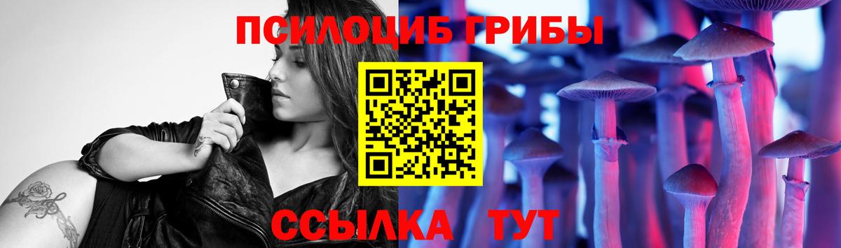 Псилоцибиновые грибы MAGIC MUSHROOMS Котлас